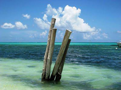 RIVIERA MAYA , DEEP BLUE