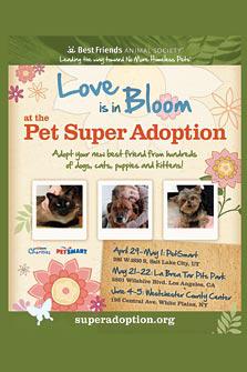 Kristin Bauer to attend Los Angeles Pet Super Adoption