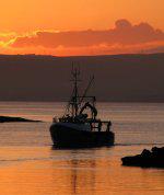 Fishing Boat