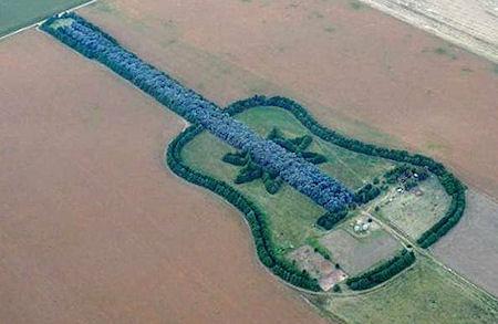 Argentine Farmer Makes Giant Guitar With 7,000 Trees