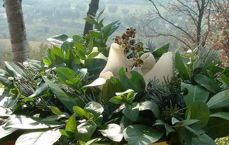 candles with herbs