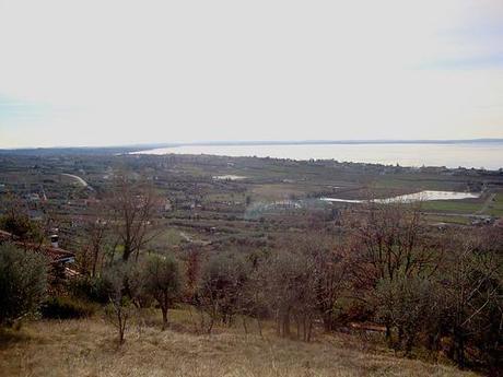 view of the lake from home