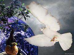 Earth Day: A Truly Healthy International Event