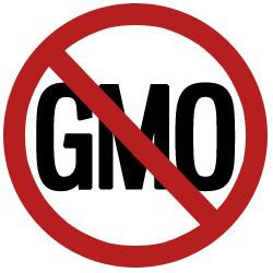 Take Action: Organize a GMO Food Dump
