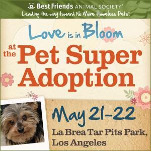 Los Angeles Super Pet Adoption