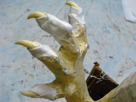 New Paper Mache Dragon- jaws and details