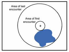 Over-estimating extinction rates