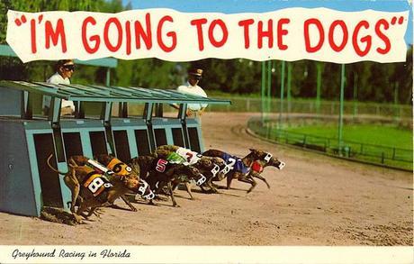 vintage Dog postcard Stocklist