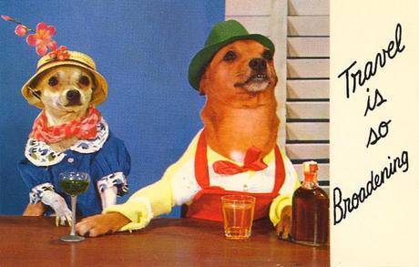 vintage Dog postcard Stocklist