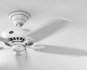 Beating the Summer Heat: Simple Ways to Stay Cool Without the A/C