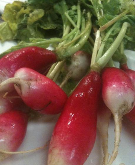 In season: breakfast radishes
