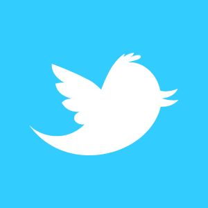 Twitter bird logo