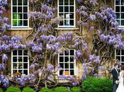 Springtime Wedding Cambridge