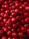The Amazing Cranberry!