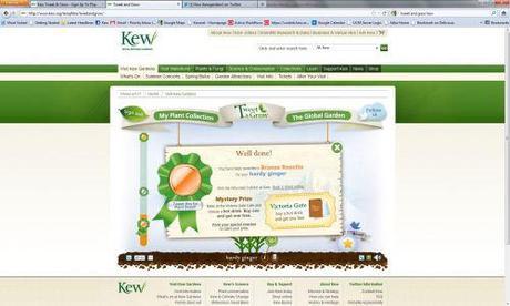 Tweet & Grow – Kew Goes Interactive