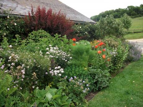 Upwaltham Barns, Sussex – A National Garden Scheme garden