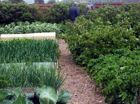 Upwaltham Barns, Sussex – A National Garden Scheme garden