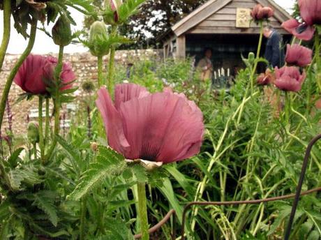 Upwaltham Barns, Sussex – A National Garden Scheme garden