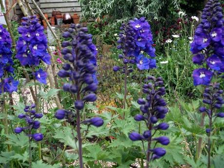 Upwaltham Barns, Sussex – A National Garden Scheme garden