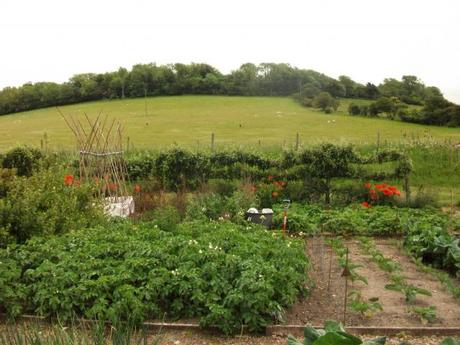 Upwaltham Barns, Sussex – A National Garden Scheme garden