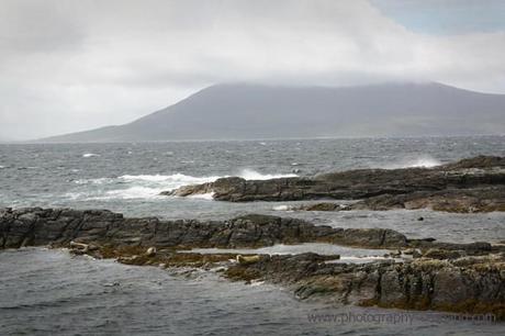 Photo - seals on the island of Taransay, Scotland