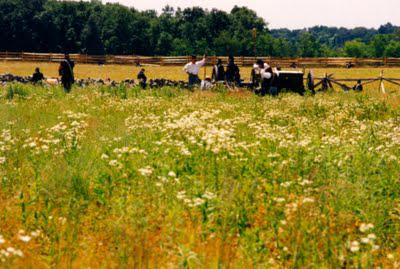 Battle of Gettysburg