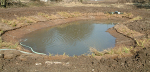 Habitat creation for Great Crested Newts