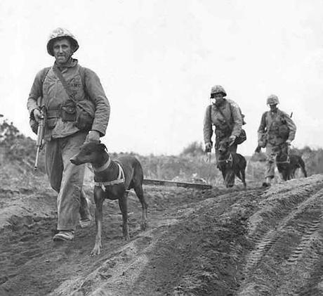 Audio – Landing on Iwo Jima K-9 Marine Platoon on Iwo Jima
