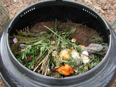 compost bin Composting For Dummies (Pt 1)