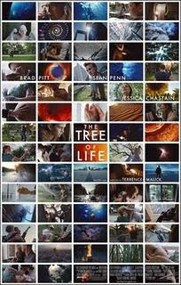 The Tree of Life (Terrence Malick, 2011)