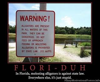 How are those Gun Laws working, Florida?