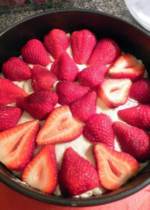Strawberry Crumb Cake- Arrange strawberries