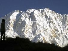 Himalaya 2011: Spring Season Numbers