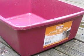 DIY Upcycled Litter Box Herb Garden