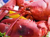 Make Sure Live Lobster Crazy Taste