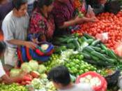 Impact Food Market Health
