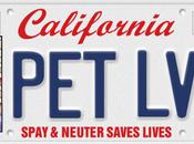 California Lover License Plate Fund Spay Neuter Programs