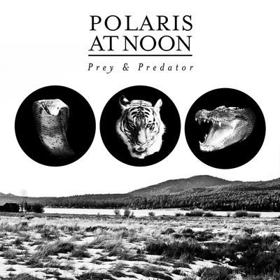 Polaris At Noon - Never Enough