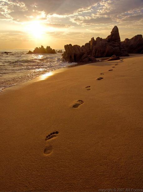 Leave no human footprint