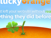 Lucky Orange Review 2019 Ideal Analytics Program? Worth