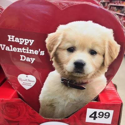 Really, Really Bad Valentine's Day Gifts for 2019