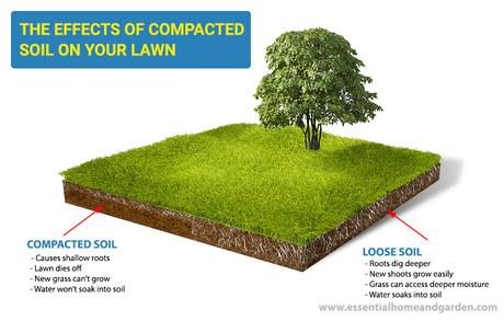 How To Loosen Compacted Soil And Improve Your Lawn