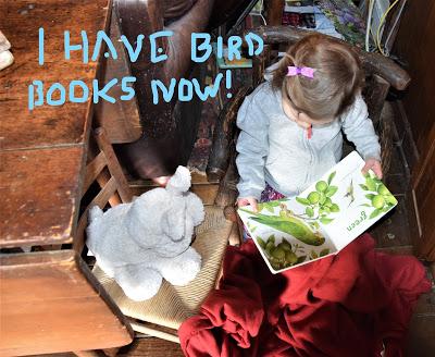 Josie and Her Bird Books