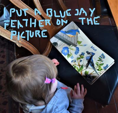 Josie and Her Bird Books