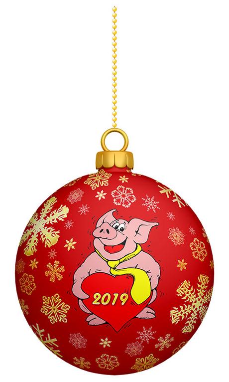 Happy Year of the Earth Pig – Gong Xi Fa Chai