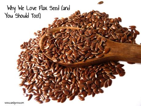  Why We Love Flax Seed  where to buy chennai