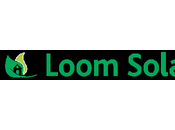 Loom Solar Updated Logo 2019