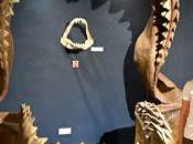 GIANT SHARK: Megalodon Jaws Colchagua Museum, Santa Cruz, Chile