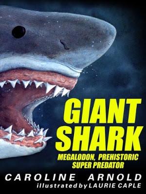 GIANT SHARK: Megalodon Jaws at the Colchagua Museum, Santa Cruz, Chile