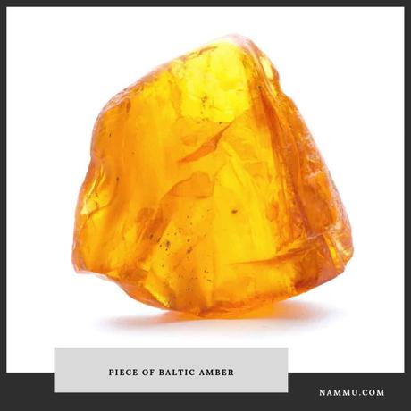 Amber: Fossilized Resin of Prehistoric Tree